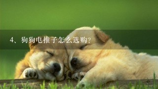 狗狗电推子怎么选购？