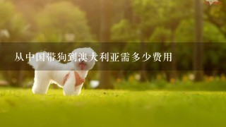 从中国带狗到澳大利亚需多少费用