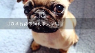 可以从台湾带狗狗来大陆吗