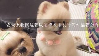 农大宠物医院猫尿闭手术多长时间？猫猫会有风险吗？