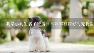 我家小狗生病了！请问常熟哪有较好的宠物医院？技术