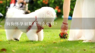 狗狗怀孕初期有什么症状？