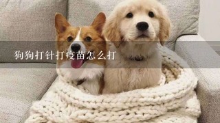 狗狗打针打疫苗怎么打