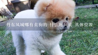 丹东凤城哪有卖狗的 什么时间卖 具体位置