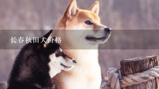 长春秋田犬价格