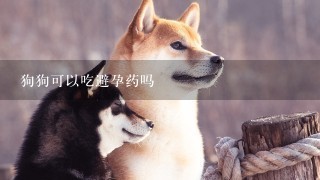 狗狗可以吃避孕药吗