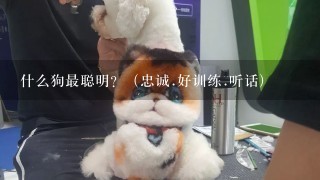 什么狗最聪明？（忠诚.好训练.听话)