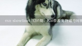 exo showtime131205期，Kai带着宠物遛弯时配的音乐是哪首歌