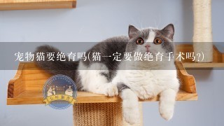 宠物猫要绝育吗(猫1定要做绝育手术吗?)