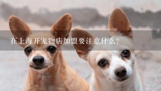 在上海开宠物店加盟要注意什么?