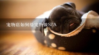 宠物店如何给宠物做SPA