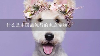 什么是中国最流行的家庭宠物？