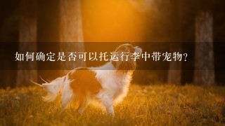 如何确定是否可以托运行李中带宠物？