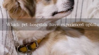 Which pet hospitals have experienced ophthalmologists on their staff?