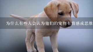 为什么有些人会认为他们的宠物有情感或思维能力呢？