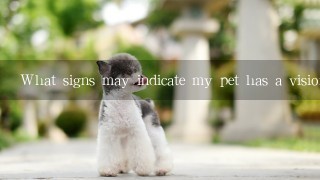 What signs may indicate my pet has a vision problem?