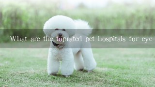 What are the toprated pet hospitals for eye care in Beijing?