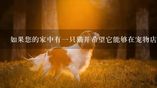 如果您的家中有一只猫并希望它能够在宠物店里工作那么应该首先考虑什么因素以确保它的成功和幸福生活？