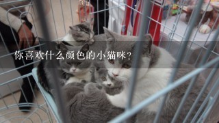 你喜欢什么颜色的小猫咪？