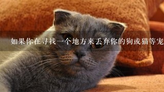 如果你在寻找一个地方来丢弃你的狗或猫等宠物的话你会考虑哪些因素例如位置费用在选择地点时很重要呢？