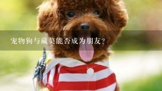 宠物狗与藏獒能否成为朋友？