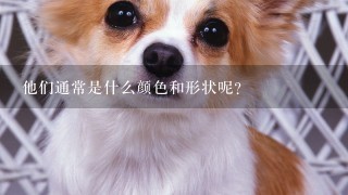 他们通常是什么颜色和形状呢？