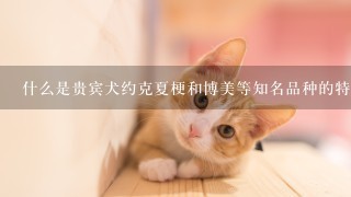 什么是贵宾犬约克夏梗和博美等知名品种的特点是什么？