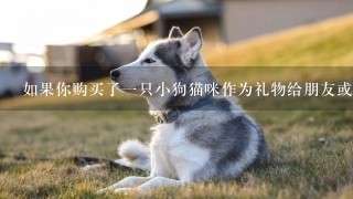 如果你购买了一只小狗猫咪作为礼物给朋友或者家人会需要支付额外费用来运输它到他们的住所如果这是真的的话那么你需要了解哪些事项和细节呢？