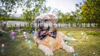 如何照顾好它们并确保他们的幸福与健康呢？