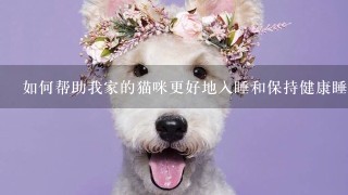 如何帮助我家的猫咪更好地入睡和保持健康睡眠习惯？