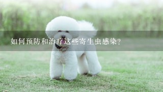 如何预防和治疗这些寄生虫感染？