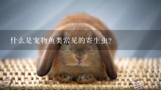 什么是宠物鱼类常见的寄生虫？