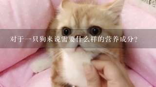 对于一只狗来说需要什么样的营养成分？