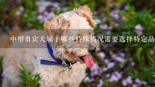 中型贵宾犬属于哪些特殊情况需要选择特定品牌的狗粮