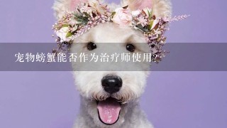 宠物螃蟹能否作为治疗师使用