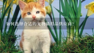 如何选择合适的宠物猫用品供应商