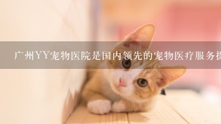 广州YY宠物医院是国内领先的宠物医疗服务提供商之一吗