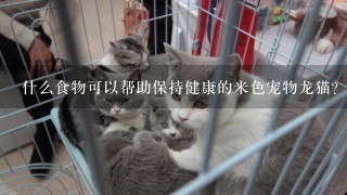 什么食物可以帮助保持健康的米色宠物龙猫