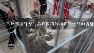 常州哪里有专门卖猫粮猫砂和猫咪玩具的店铺吗