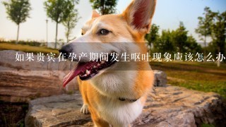 如果贵宾在孕产期间发生呕吐现象应该怎么办呢