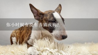 你小时候有没有养猫或狗