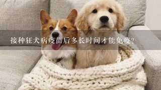 接种狂犬病疫苗后多长时间才能免疫