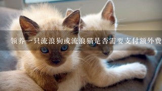 领养一只流浪狗或流浪猫是否需要支付额外费用