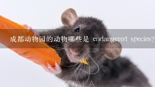 成都动物园的动物哪些是 endangered species?