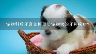 宠物科盾牙膏如何预防宠物犬的牙科疾病?