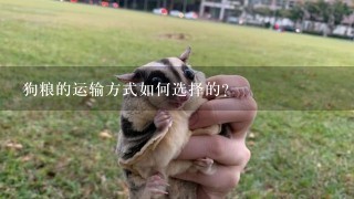 狗粮的运输方式如何选择的?