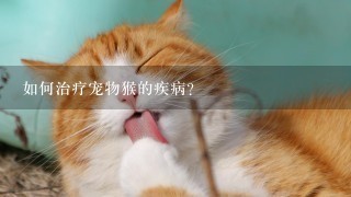 如何治疗宠物猴的疾病?