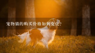 宠物猫的购买价格如何变化?