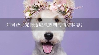 如何帮助宠物适应成熟期的情绪状态?