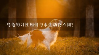 乌龟的习性如何与水生动物不同?